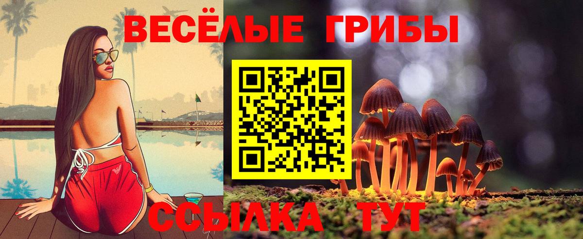 купить наркотик  Вход с VPN  Шадринск  Галлюциногенные грибы мицелий 